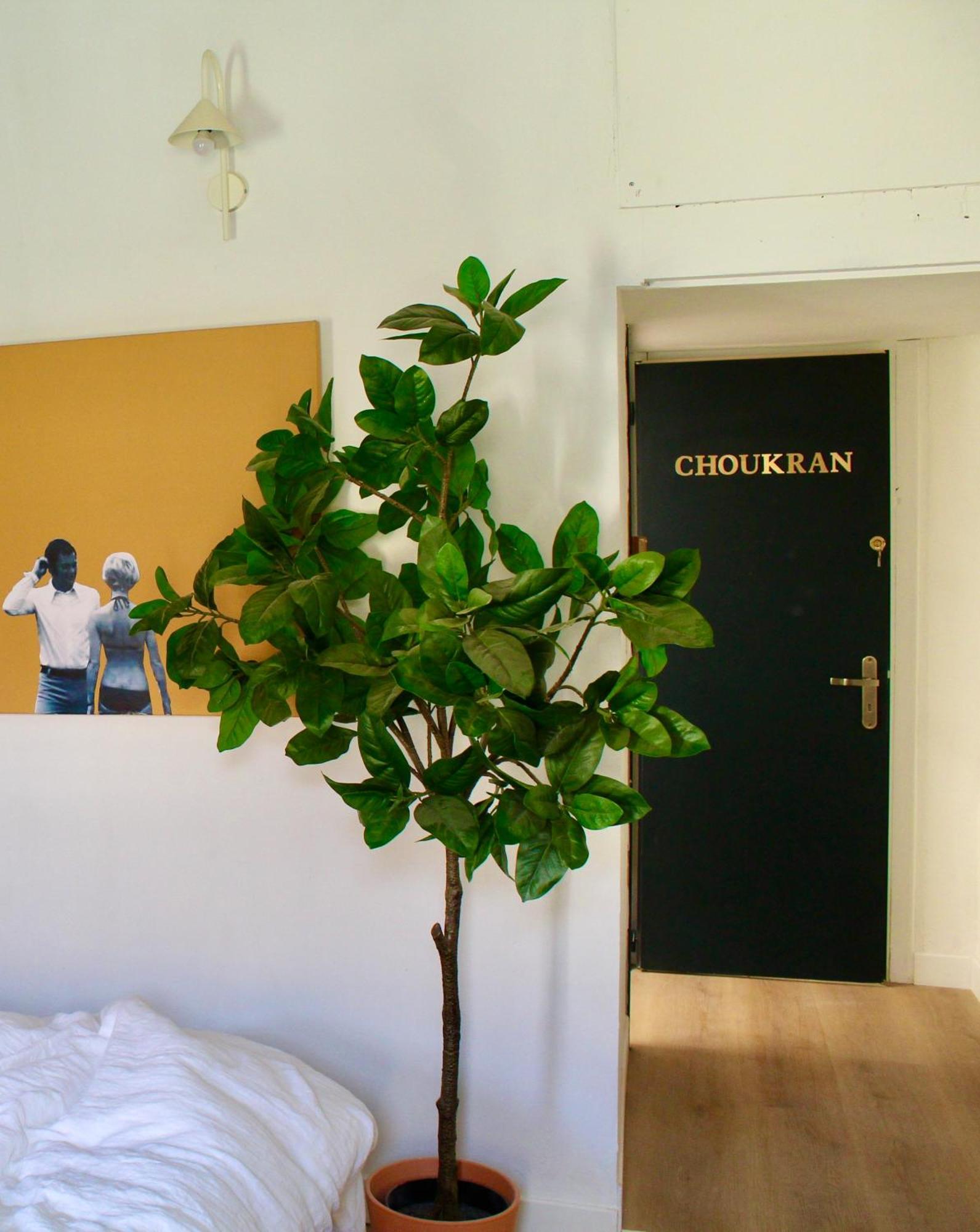 Maison Merci - Maison D'Hotes Carcassonne Ngoại thất bức ảnh