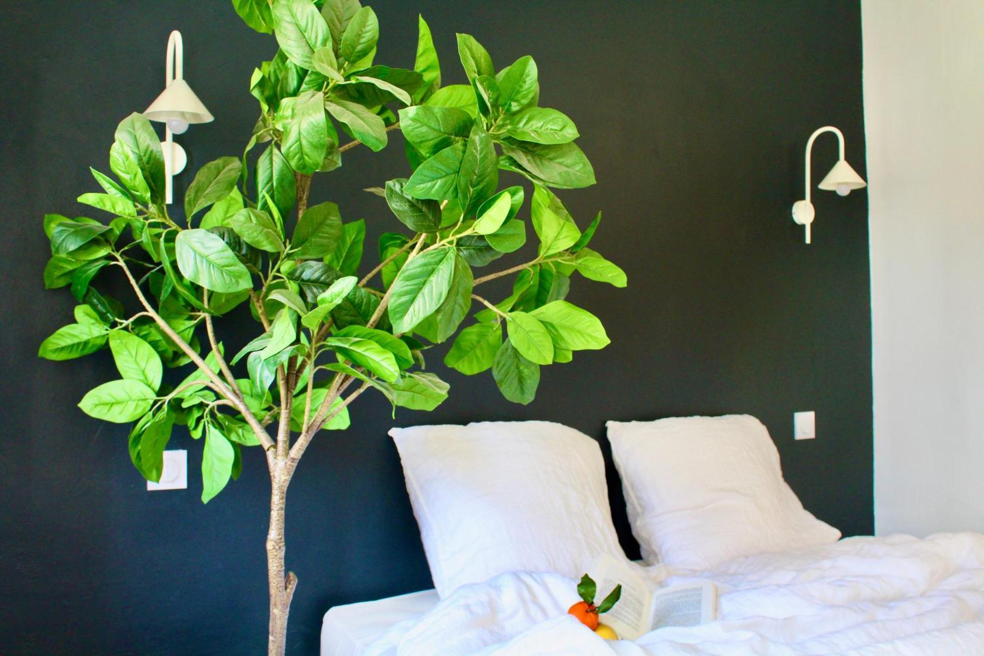 Maison Merci - Maison D'Hotes Carcassonne Ngoại thất bức ảnh