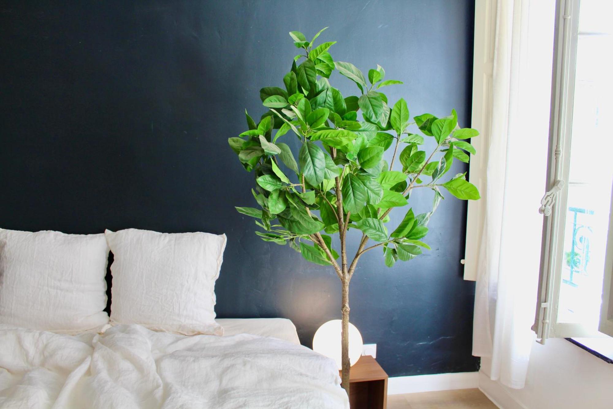 Maison Merci - Maison D'Hotes Carcassonne Ngoại thất bức ảnh